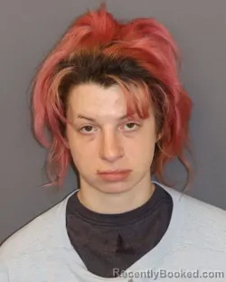 Mugshot of Amber June Edwards booked in Dakota County, Minnesota on May 29, 2026