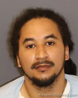 Booking photo from Dakota County, Minnesota