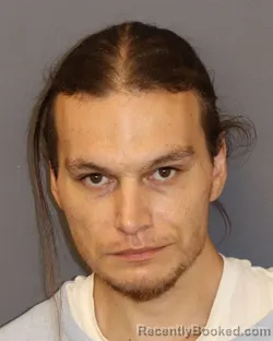 Mugshot of Nicholas Sonny Seymour booked in Dakota County, Minnesota on June 3, 2026