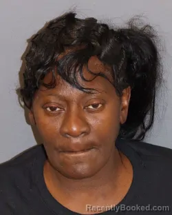 Mugshot of Cynthia Denise Elmore booked in Dakota County, Minnesota on June 4, 2026