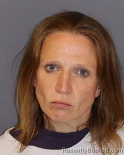 Mugshot of Leslee Mae Marie Youngren booked in Dakota County, Minnesota on June 4, 2026