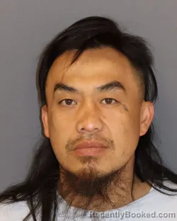 Mugshot of Kou Lee booked in Dakota County, Minnesota on June 5, 2026
