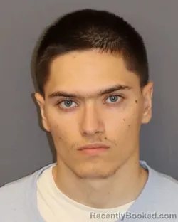 Booking photo from Dakota County, Minnesota