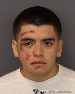 Booking photo from Dakota County, Minnesota