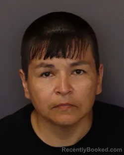 Booking photo from Dakota County, Minnesota