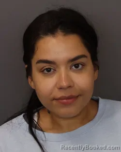 Mugshot of Glori Bee Acevedo booked in Dakota County, Minnesota on June 15, 2026