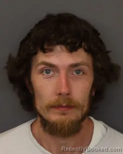 Booking photo from Dakota County, Minnesota