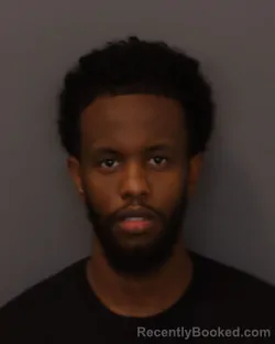 Mugshot of Ayanle Salah Hashi booked in Dakota County, Minnesota on July 3, 2026