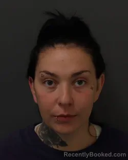 Mugshot of Jessica Rachael Hull booked in Dakota County, Minnesota on July 3, 2026
