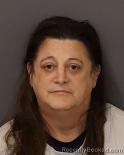 Mugshot of Julie Ann Bargel booked in Dakota County, Minnesota on July 8, 2026