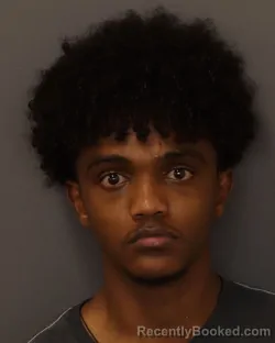 Mugshot of Abel Mekbib Alemu booked in Dakota County, Minnesota on July 11, 2026