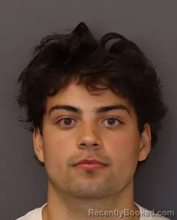 Mugshot of Landon Anthony Monsour booked in Dakota County, Minnesota on July 15, 2026