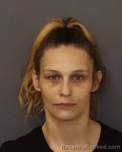 Mugshot of Danielle Faye Christian booked in Dakota County, Minnesota on July 21, 2026
