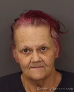 Mugshot of Meri Susan Forster booked in Dakota County, Minnesota on July 22, 2026