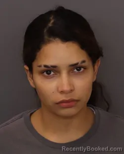 Mugshot of Angie Gisel Funes Castro booked in Dakota County, Minnesota on July 27, 2026
