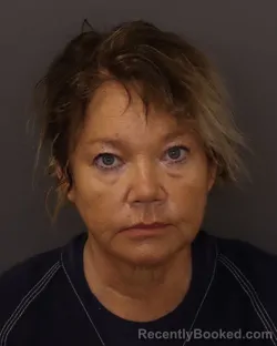 Mugshot of Cheryl Marie Takahashi booked in Dakota County, Minnesota on August 25, 2026
