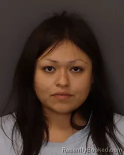 Mugshot of Kimberly Mesa Sanchez booked in Dakota County, Minnesota on August 28, 2026