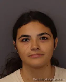 Mugshot of Kylah Marie Johnson booked in Dakota County, Minnesota on August 28, 2026