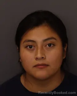 Mugshot of Kendi Maribel Chun Alvarado booked in Dakota County, Minnesota on August 30, 2026