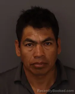 Mugshot of Cesar Oswaldo Quinatoa Quinatoa booked in Dakota County, Minnesota on September 12, 2026
