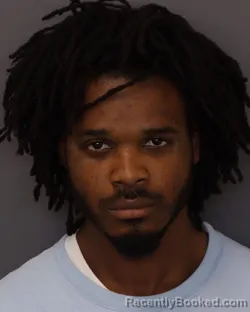 Mugshot of Shaquille Josiah Leerdam