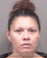 Mugshot of Brittany Nichole Lonneman booked in Fillmore County, Minnesota on July 28, 2026
