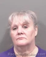 Mugshot of Renita Julie Heibel booked in Fillmore County, Minnesota on August 15, 2026