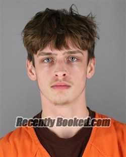 Booking photo from Hennepin County, Minnesota