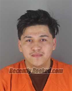 Booking photo from Hennepin County, Minnesota