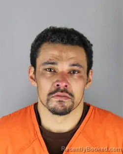 Booking photo from Hennepin County, Minnesota