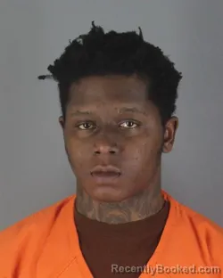 Booking photo from Hennepin County, Minnesota