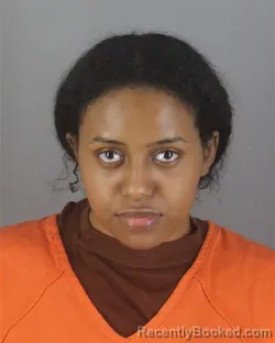 Booking photo from Hennepin County, Minnesota