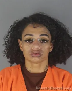 Mugshot of BREANNA RENEE LEE