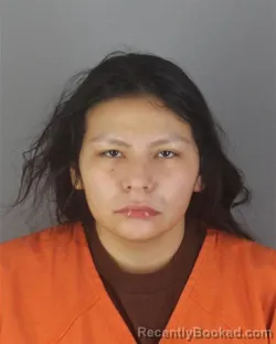 Booking photo from Hennepin County, Minnesota