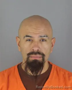 Booking photo from Hennepin County, Minnesota