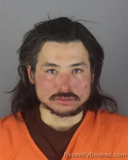 Booking photo from Hennepin County, Minnesota