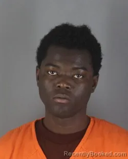 Booking photo from Hennepin County, Minnesota