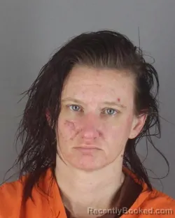 Mugshot of AMBER MARIE HANSEN