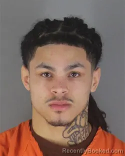 Mugshot of ARRAMOND JR MIMS