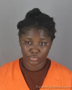 Booking photo from Hennepin County, Minnesota