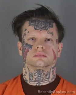 Booking photo from Hennepin County, Minnesota