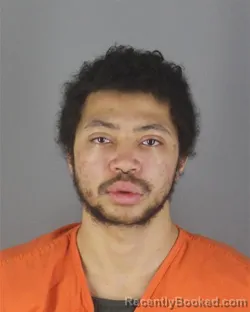 Booking photo from Hennepin County, Minnesota
