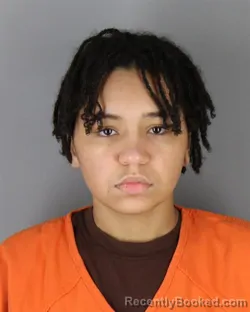 Mugshot of JESSICA MARIE BORGAN