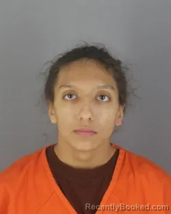 Mugshot of RIEANNAH ASHLEY WOLFE