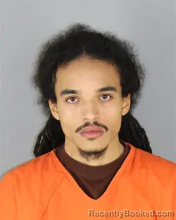 Booking photo from Hennepin County, Minnesota