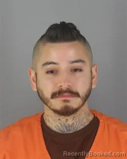 Booking photo from Hennepin County, Minnesota