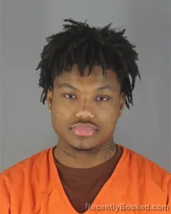 Booking photo from Hennepin County, Minnesota