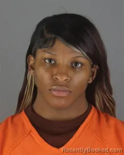 Booking photo from Hennepin County, Minnesota