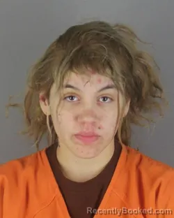 Booking photo from Hennepin County, Minnesota