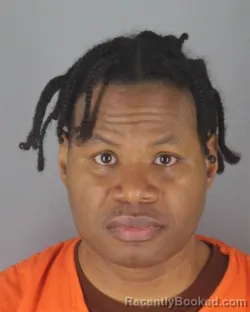 Mugshot of IZELL WRIGHT ROBINSON